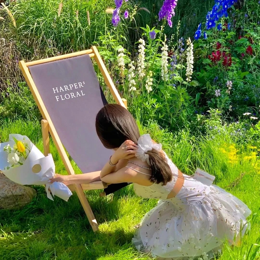 科洛弗10号地窖